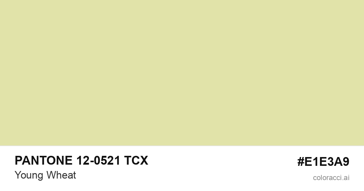 PANTONE 12-0521 TCX Young Wheat color swatch #E1E3A9