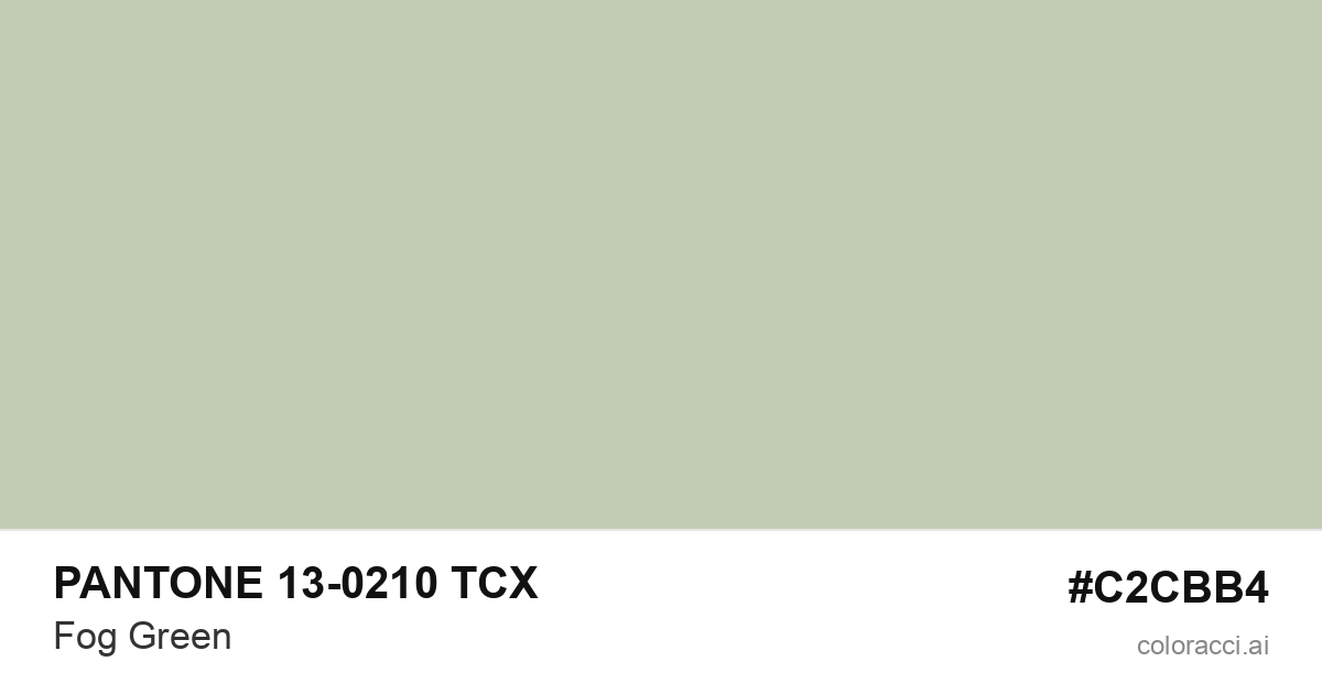 PANTONE 13-0210 TCX Fog Green color swatch #C2CBB4