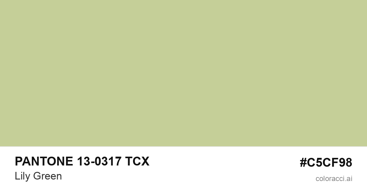 PANTONE 13-0317 TCX Lily Green color swatch #C5CF98