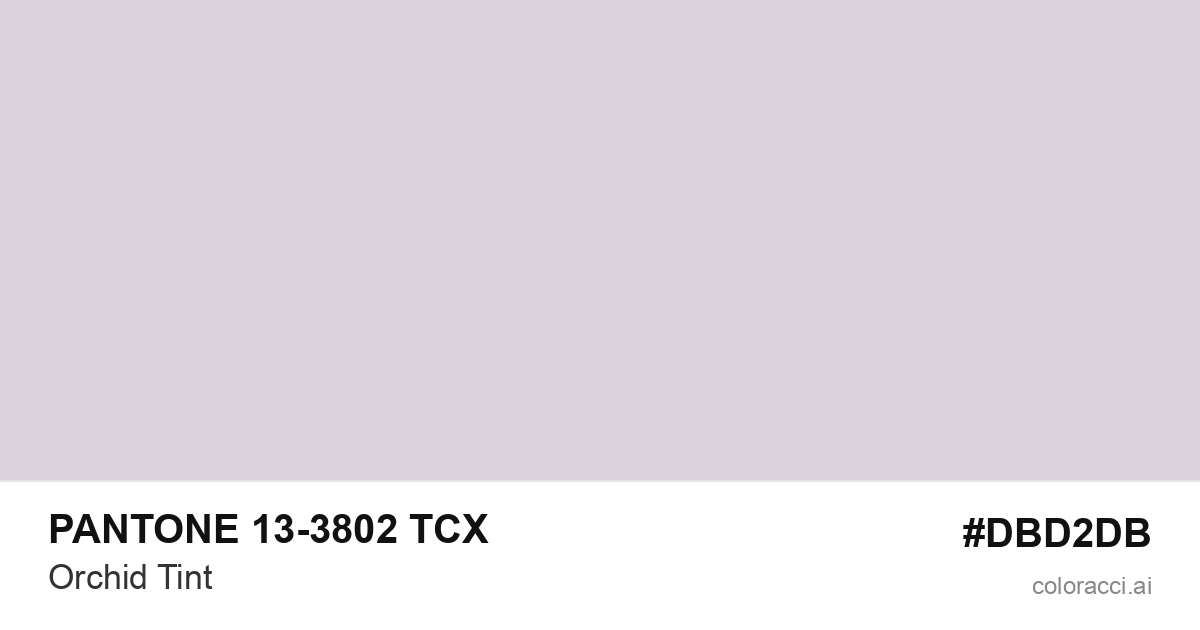 PANTONE 13-3802 TCX Orchid Tint color swatch #DBD2DB
