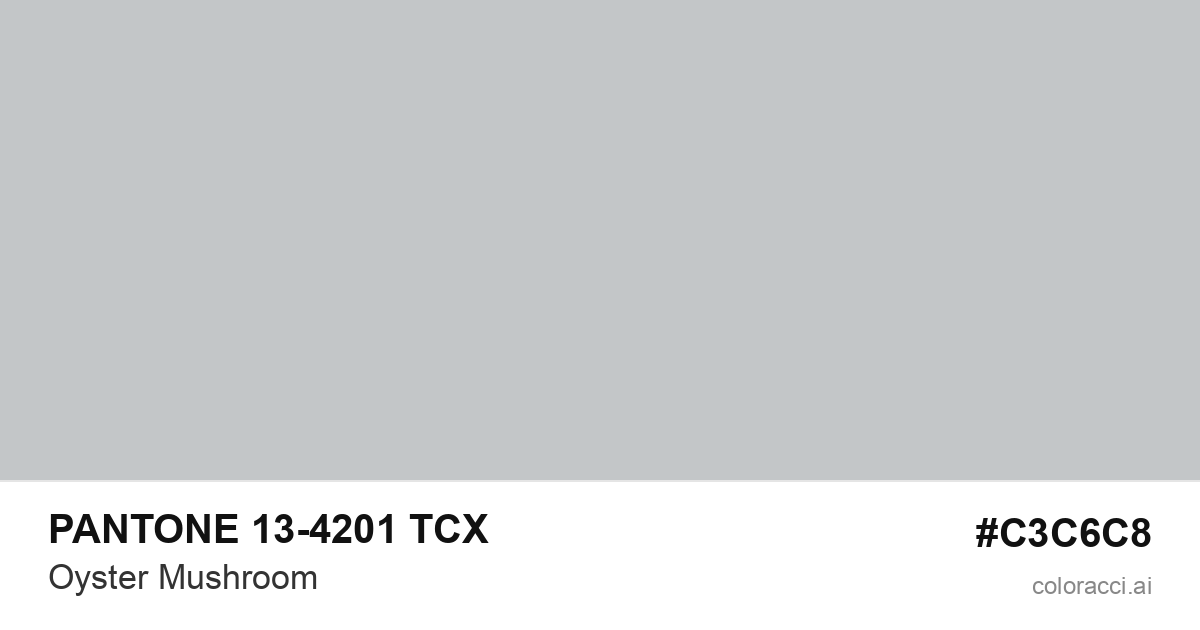 PANTONE 13-4201 TCX Oyster Mushroom color swatch #C3C6C8