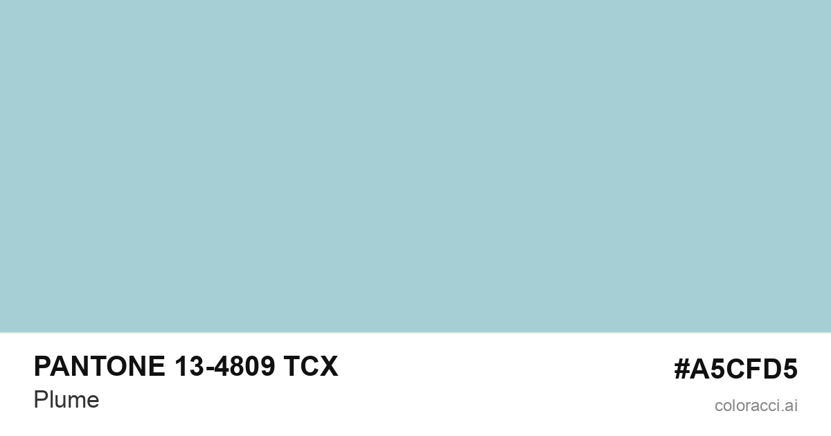 PANTONE 13-4809 TCX Plume color swatch #A5CFD5