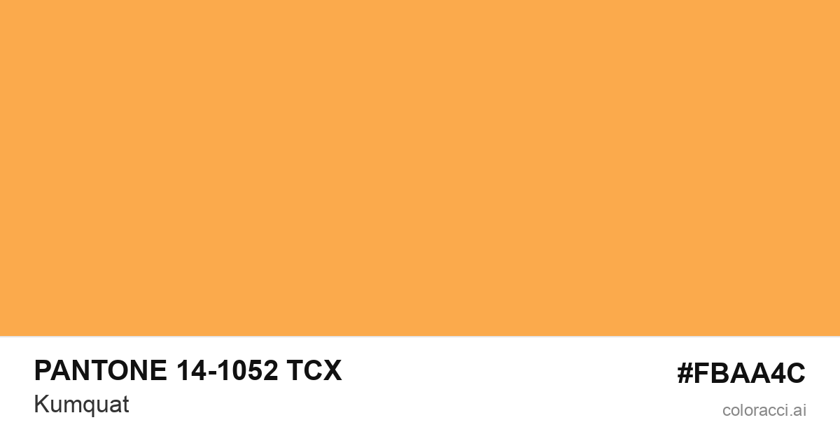 PANTONE 14-1052 TCX Kumquat color swatch #FBAA4C