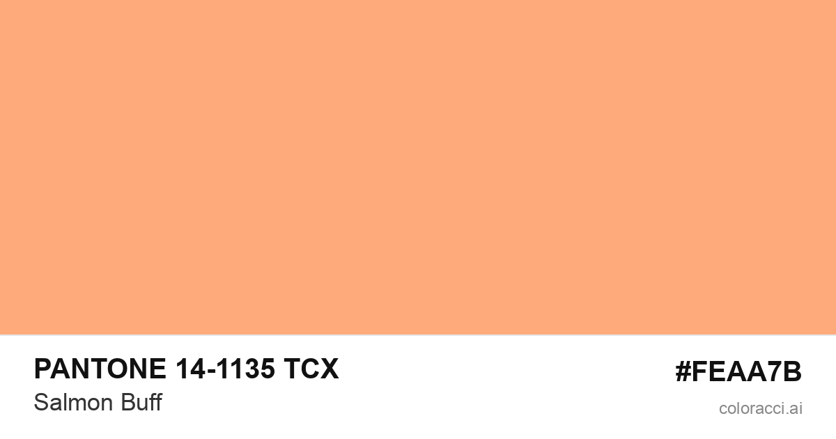 PANTONE 14-1135 TCX Salmon Buff color swatch #FEAA7B