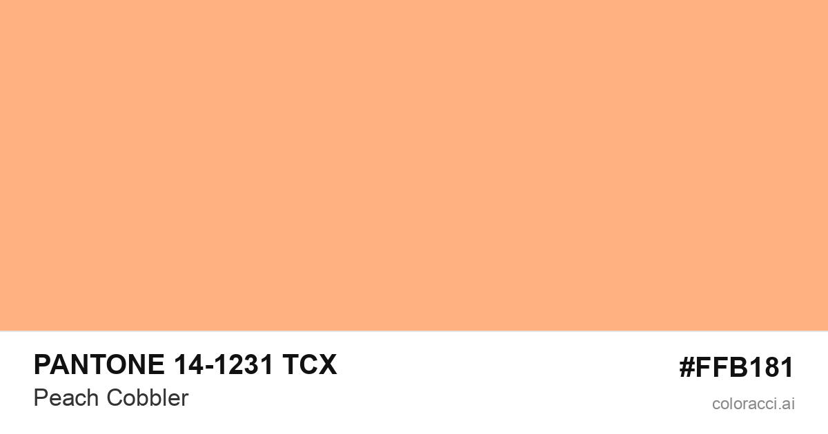 PANTONE 14-1231 TCX Peach Cobbler color swatch #FFB181