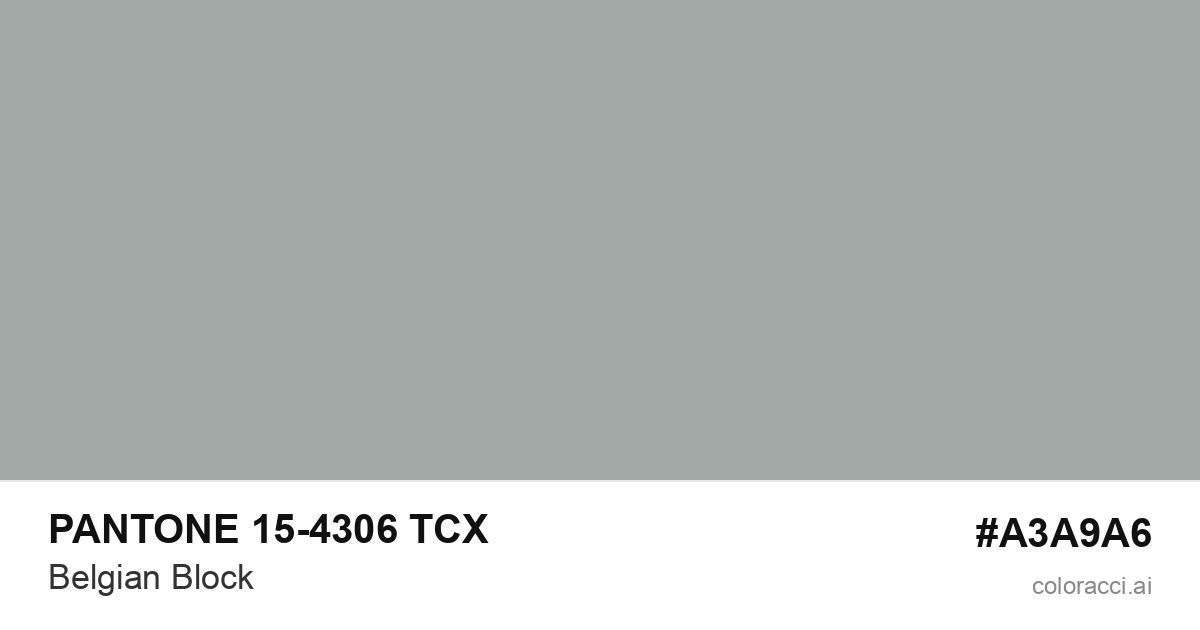 PANTONE 15-4306 TCX Belgian Block color swatch #A3A9A6