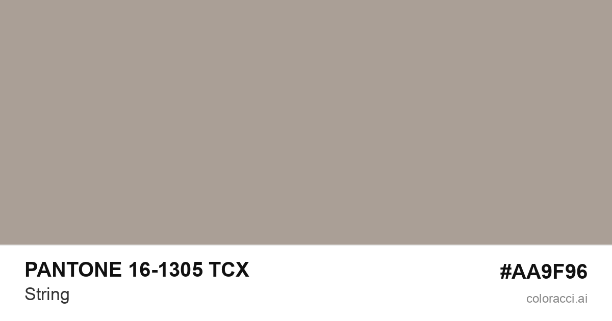 PANTONE 16-1305 TCX String color swatch #AA9F96