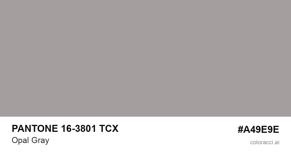 PANTONE 16-3801 TCX Opal Gray color swatch #A49E9E