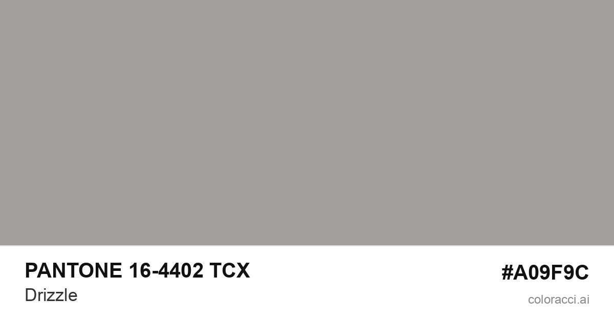 PANTONE 16-4402 TCX Drizzle color swatch #A09F9C