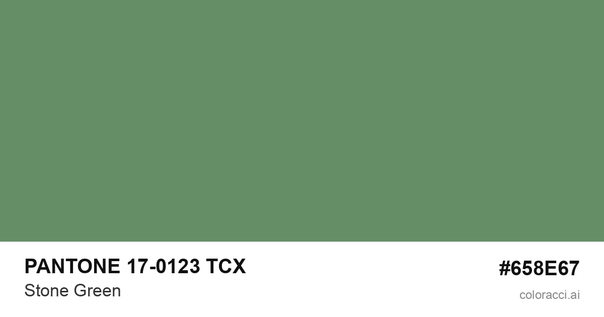 PANTONE 17-0123 TCX Stone Green color swatch #658E67
