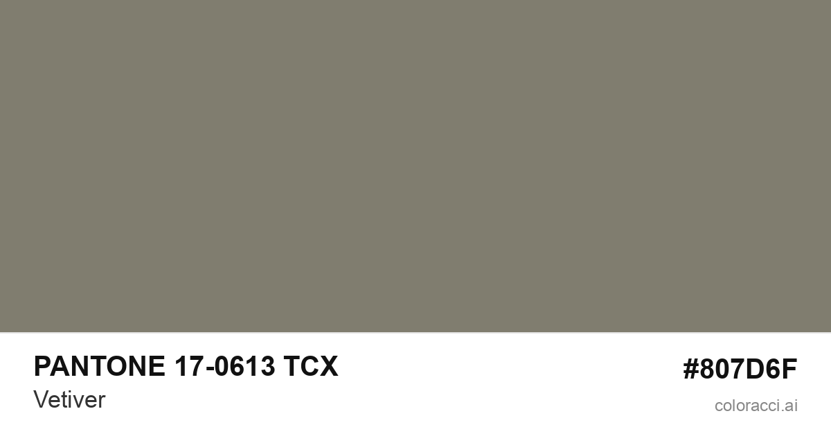 PANTONE 17-0613 TCX Vetiver color swatch #807D6F