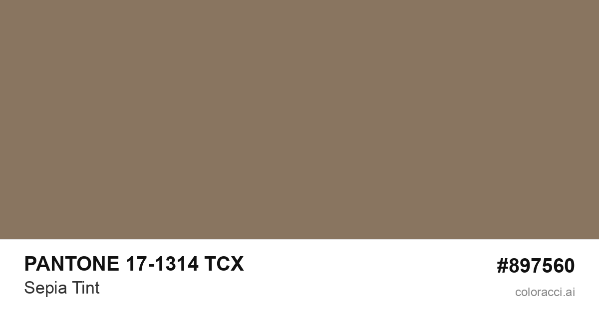 PANTONE 17-1314 TCX Sepia Tint color swatch #897560