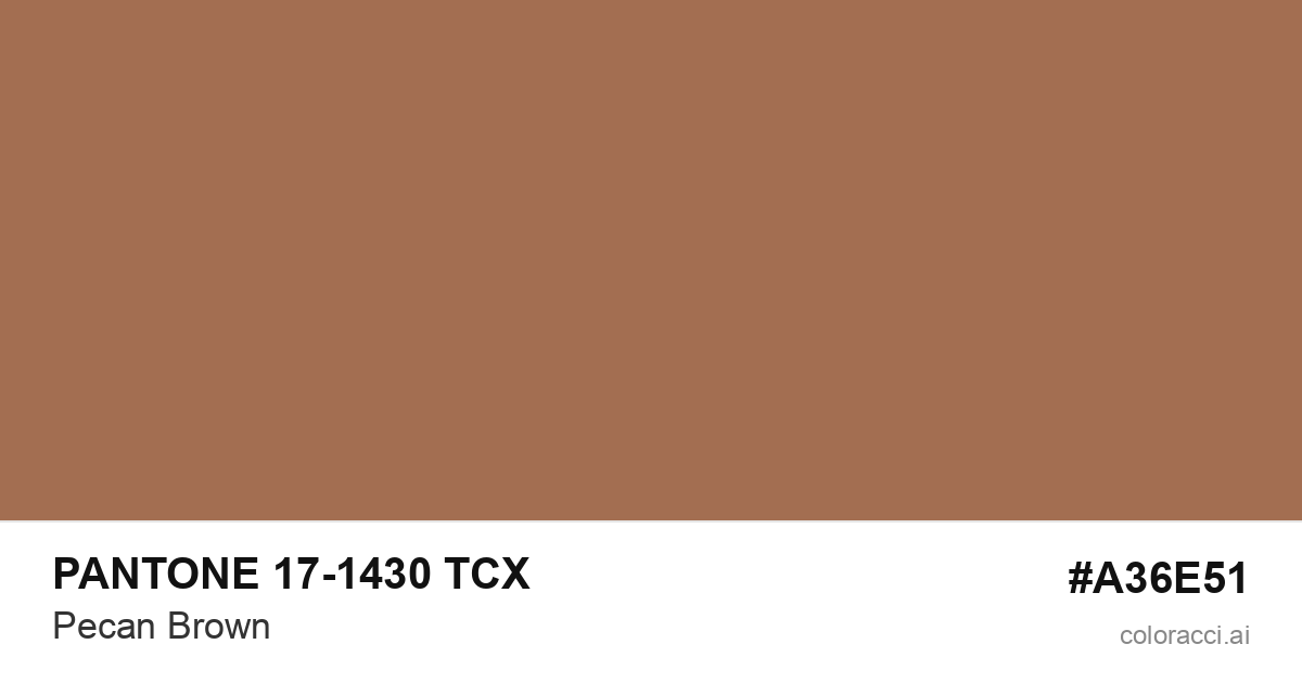 PANTONE 17-1430 TCX Pecan Brown color swatch #A36E51