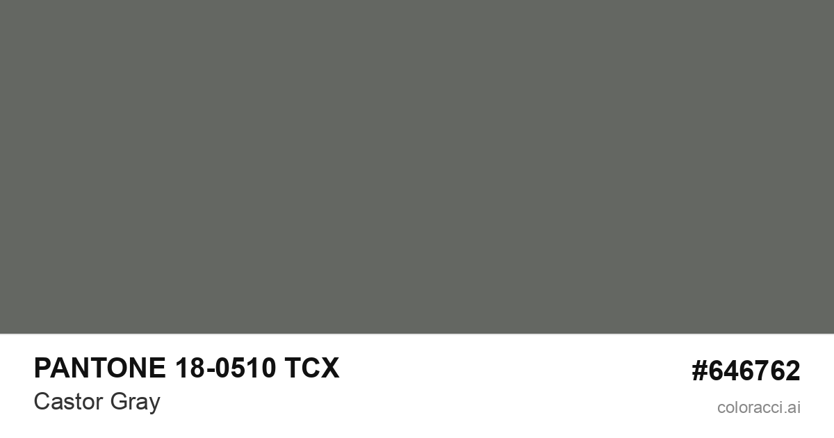 PANTONE 18-0510 TCX Castor Gray color swatch #646762