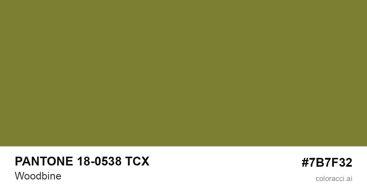 PANTONE 18-0538 TCX Woodbine color swatch #7B7F32
