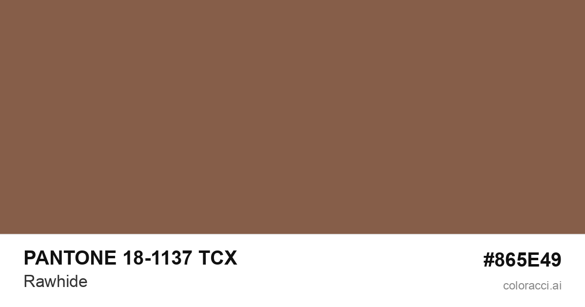 PANTONE 18-1137 TCX Rawhide color swatch #865E49