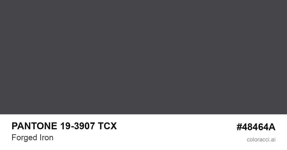 PANTONE 19-3907 TCX Forged Iron color swatch #48464A