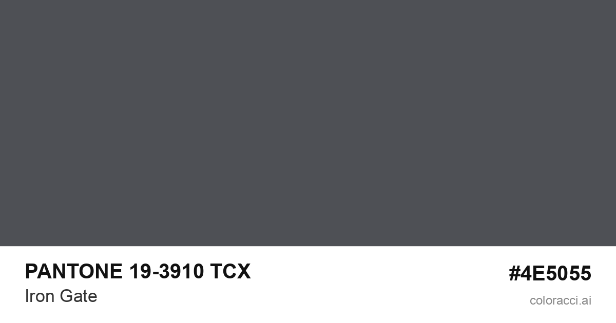 PANTONE 19-3910 TCX Iron Gate color swatch #4E5055