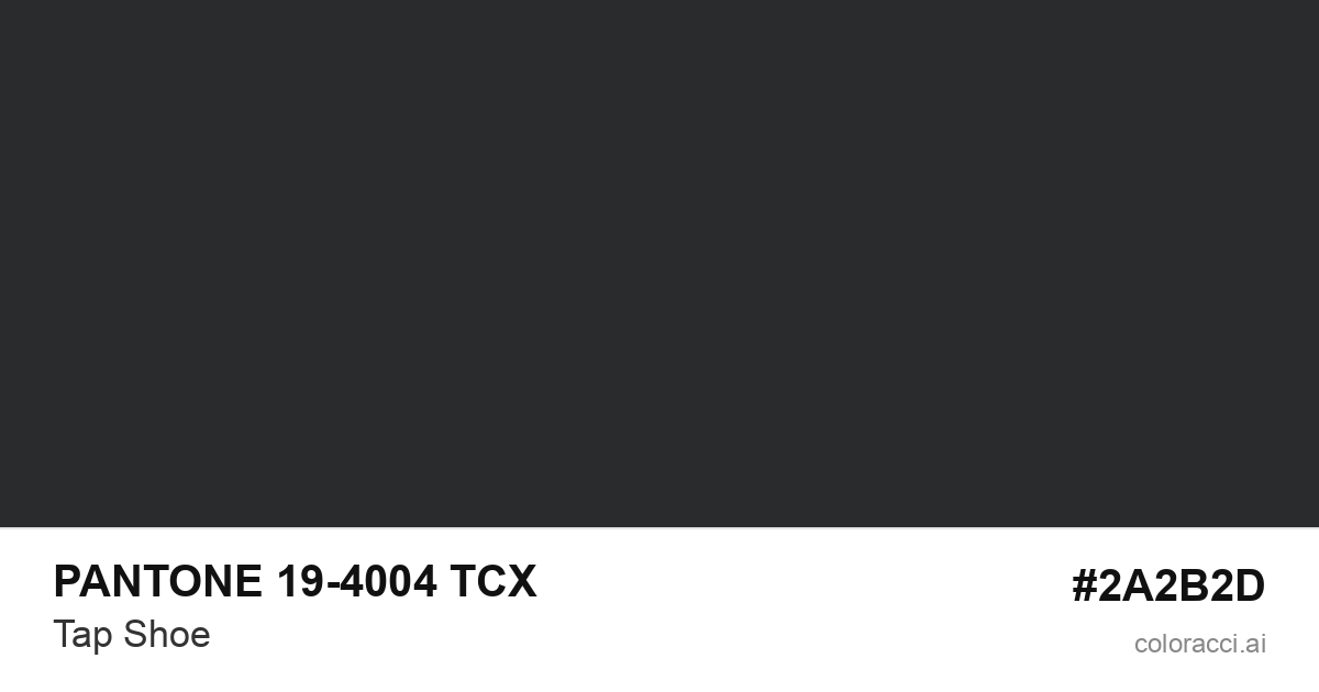 PANTONE 19-4004 TCX Tap Shoe color swatch #2A2B2D
