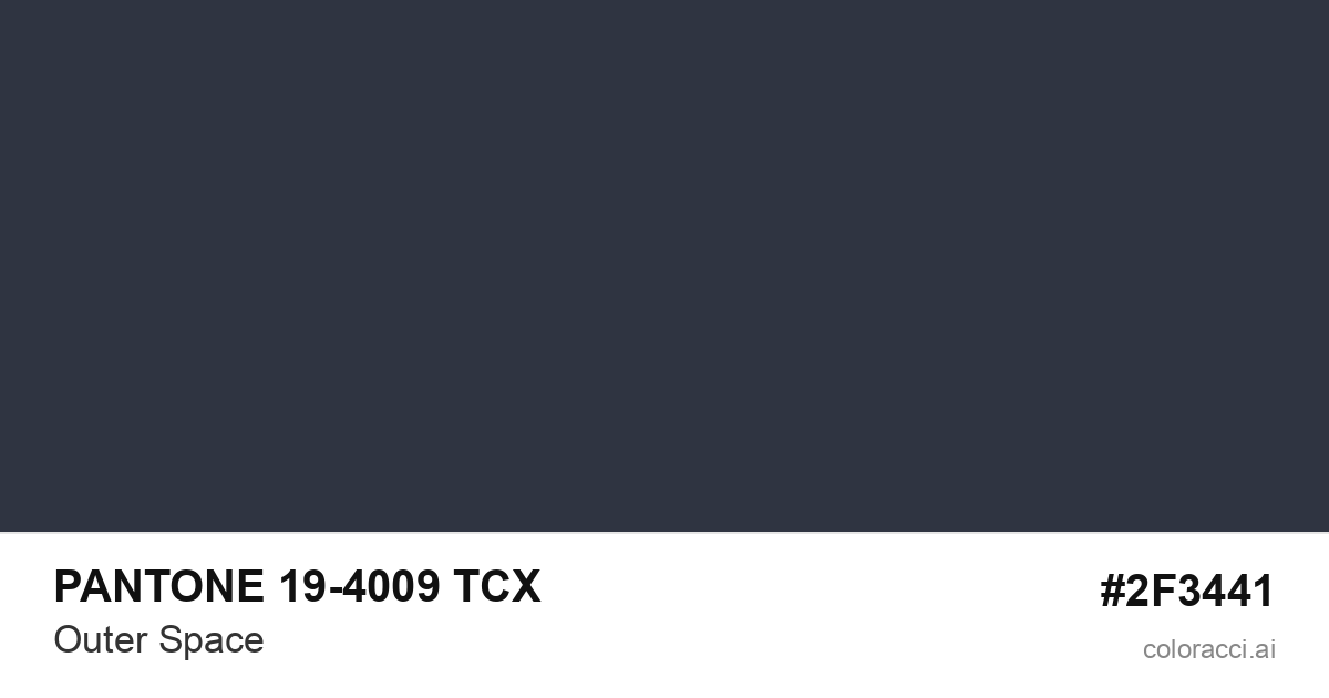 PANTONE 19-4009 TCX Outer Space color swatch #2F3441
